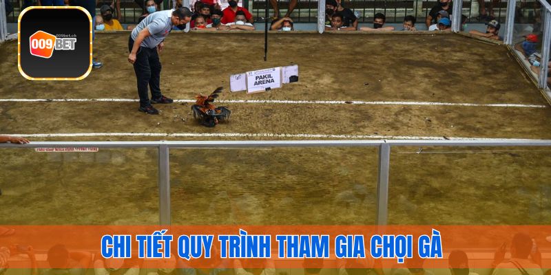 Chi tiết quy trình tham gia chọi gà